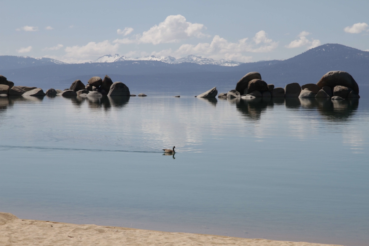 Historian Inn Historic Downtown Hotel in Gardnerville Nevada